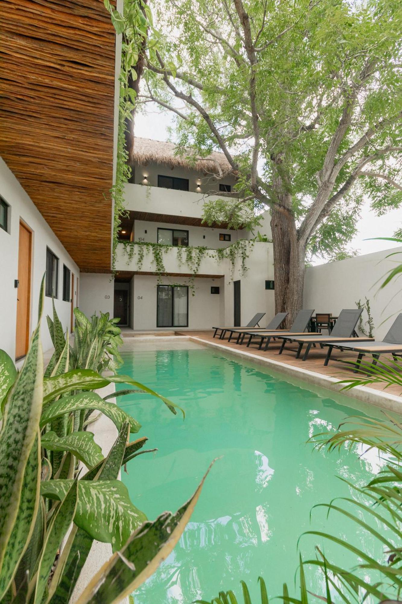 Cozy Apartment With Pool In Bacalar Center Екстер'єр фото